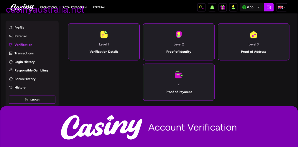 Casiny account verification steps guide